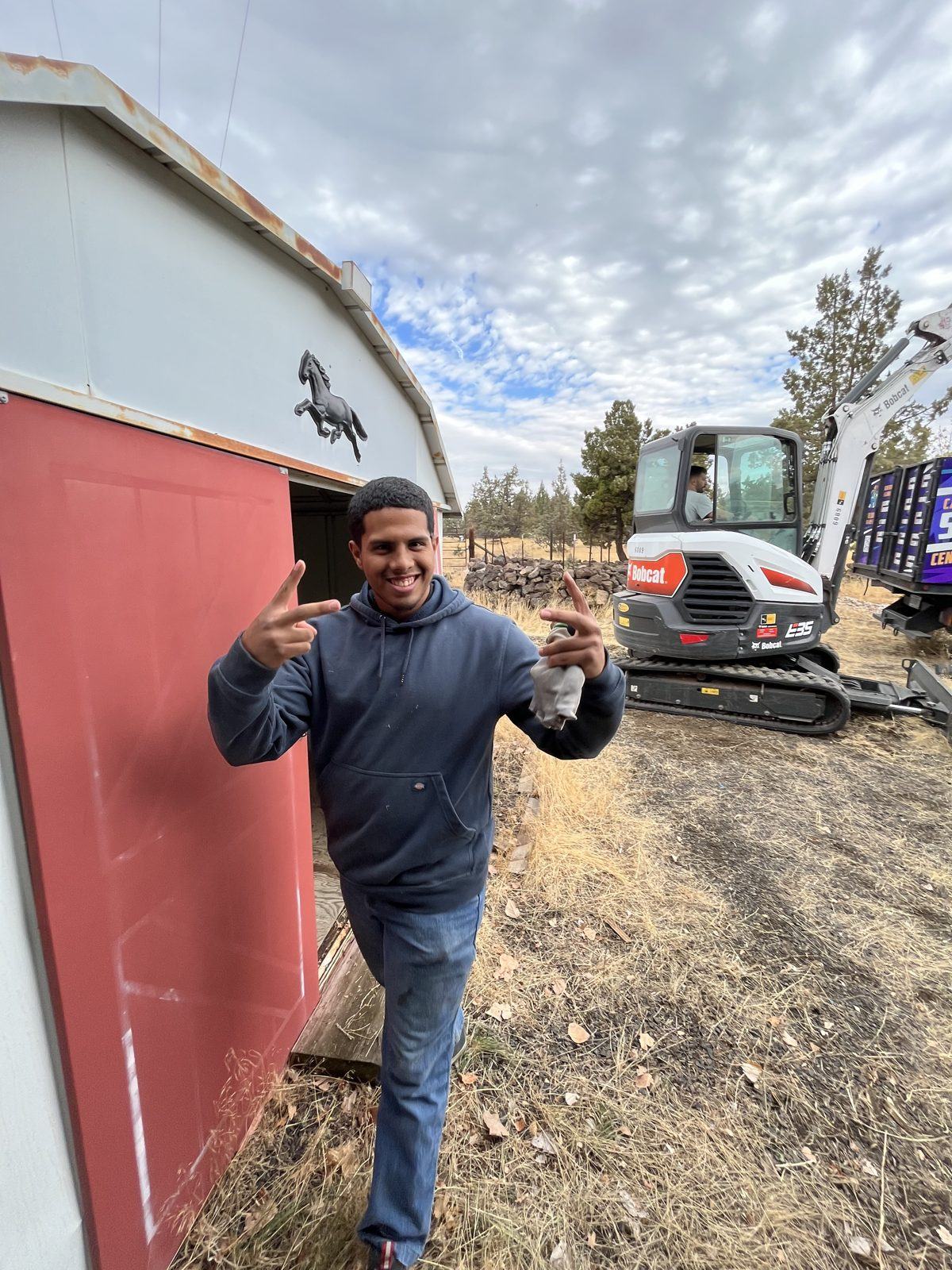 Shed Removal